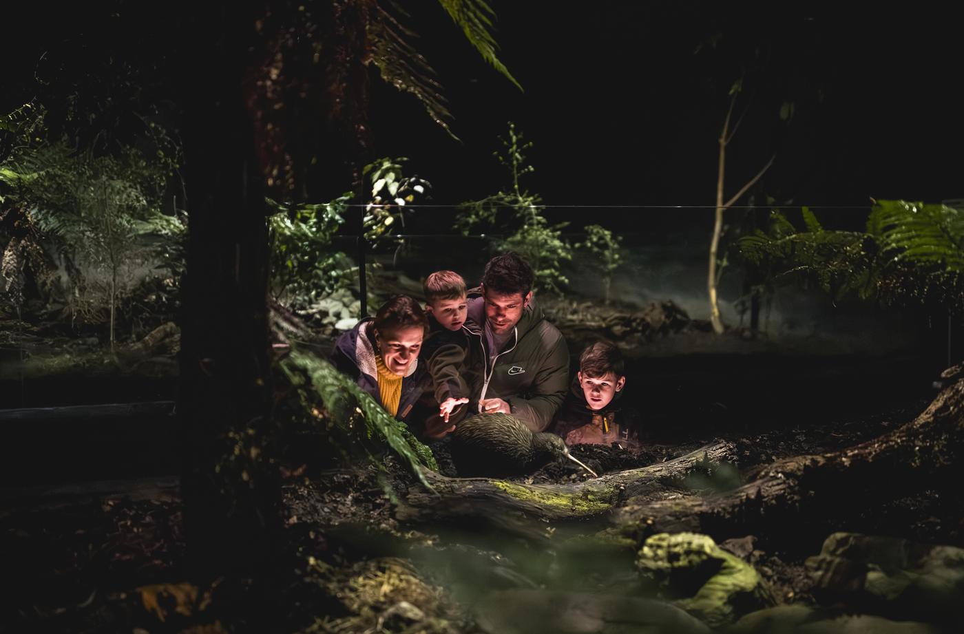 A family watch a Kiwi at the Kiwi Park in Queenstown