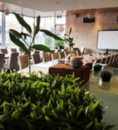 Root to Stem image of Crowne Plaza