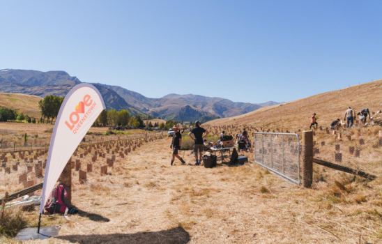 Love Queenstown Planting day at Slopehill Reserve