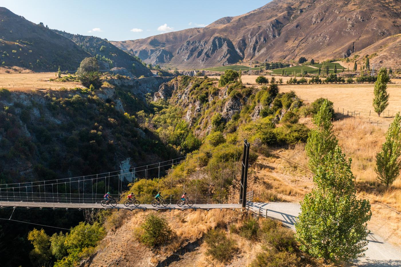 Four people ride across the Edgar Swing Bridge on the Queenstown Trails Network on a sunny day